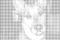 Schlauer Hund